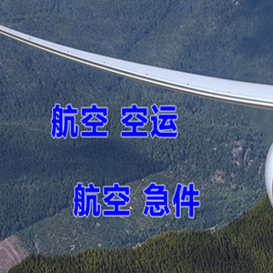 湛江航空物流快递-选东方航空和上海航空